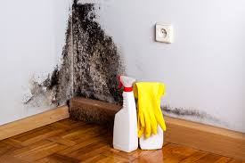 Hillsboro, MO Mold Prevention & Removal  Company